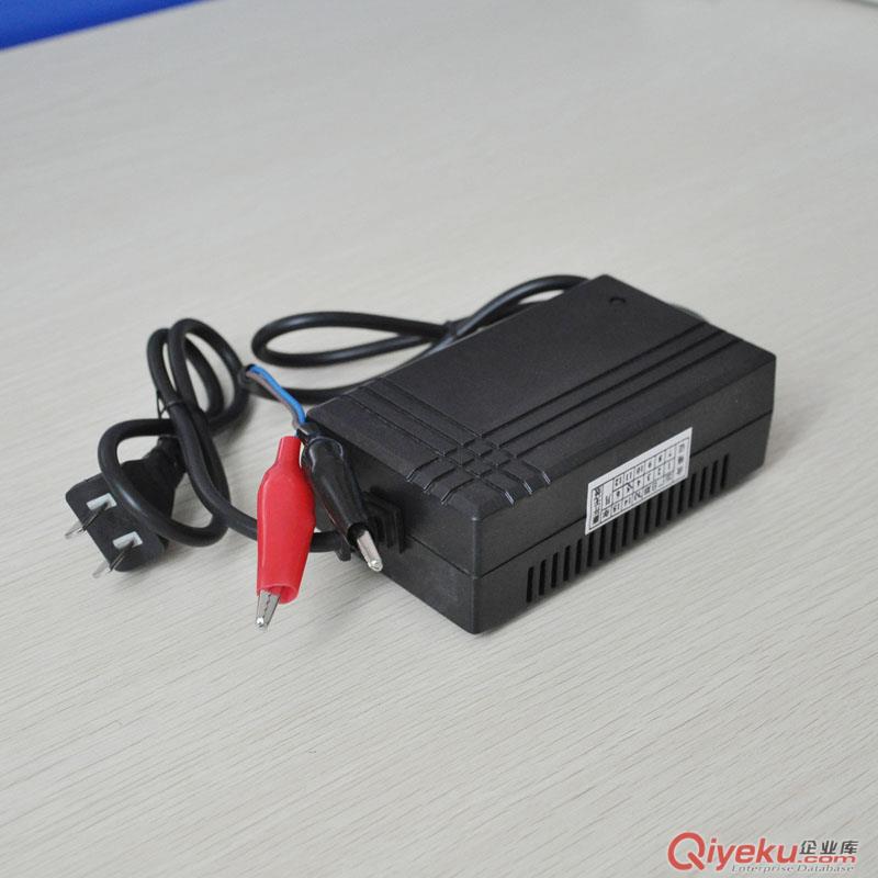 智能充電器6V