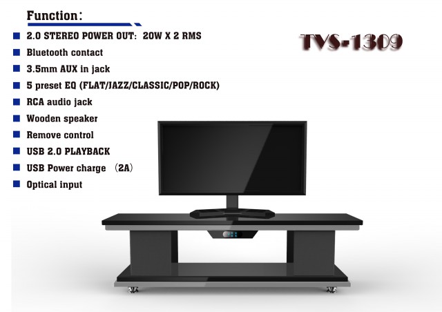 TVS-1309 (10)