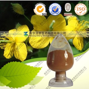  廠家大量現(xiàn)貨直供代報(bào)關(guān)，商檢大豆提取物原始圖片3
