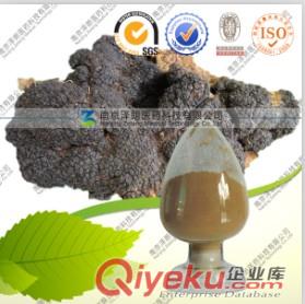  廠家大量現(xiàn)貨直供代報關，商檢肉桂提取物