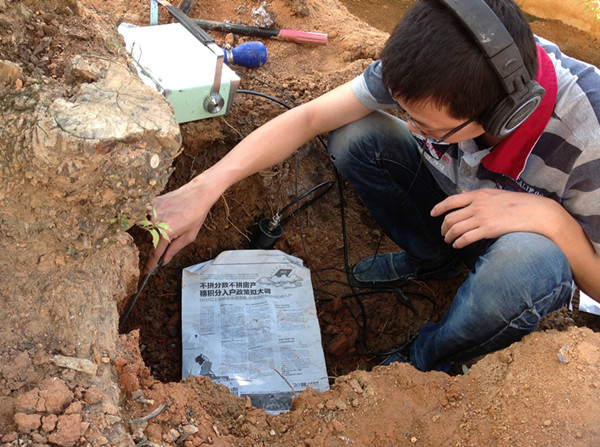 中山白蚁防治工程,中山有害生物防治服务