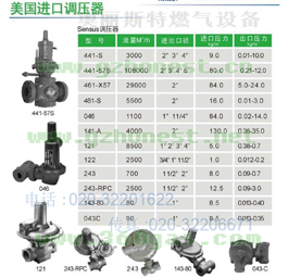 美國SENSUS調(diào)壓器,勝賽斯調(diào)壓閥