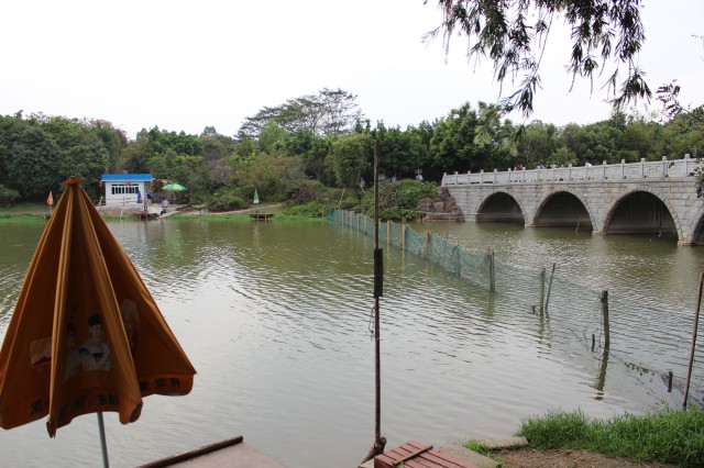 釣魚,廣州大夫山公園