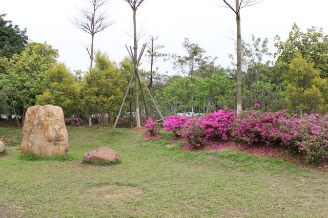 園區風景,大夫山燒烤場原始圖片3