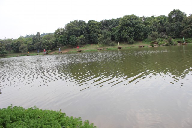 釣魚,廣州大夫山公園