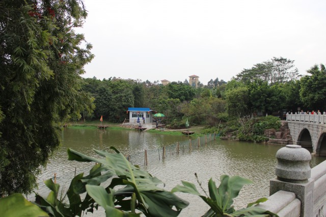 釣魚,廣州大夫山公園