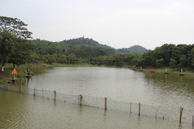 釣魚,廣州大夫山公園