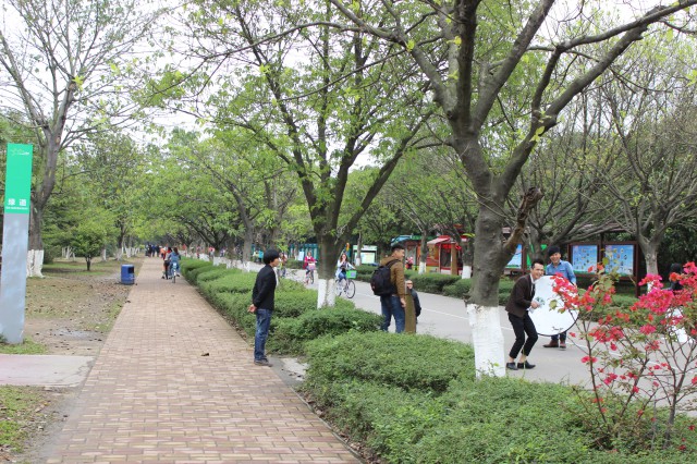 园区风景,大夫山烧烤场