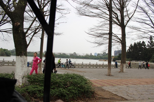 园区风景,大夫山烧烤场