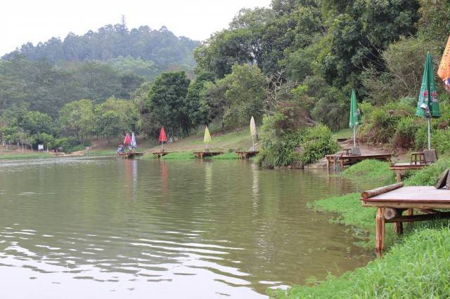 钓鱼,广州大夫山公园