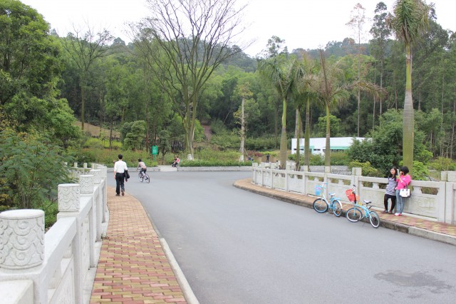 園區風景,大夫山燒烤場