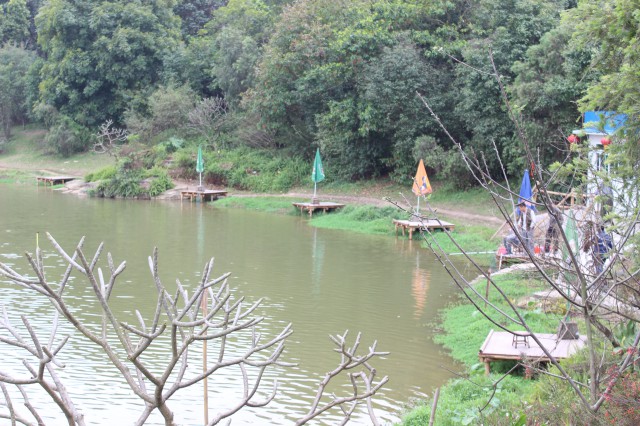 釣魚(yú),廣州大夫山公園