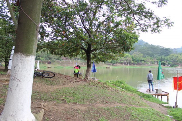 钓鱼,广州大夫山公园