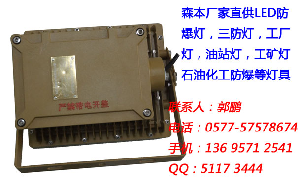 森本SBD86LED防爆燈原始圖片2