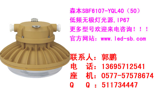 浙江森本SBF6107三防车间工厂灯40W50W三防马路灯双头路灯