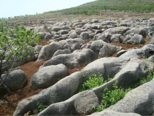 山東臨朐駁岸石||多少錢一噸||銷售批發(fā)||{zpy}||開采基地在哪里||