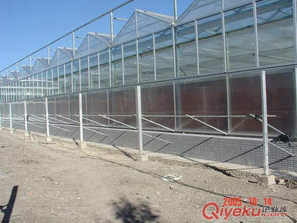供應新疆溫室大棚 建造溫室大棚