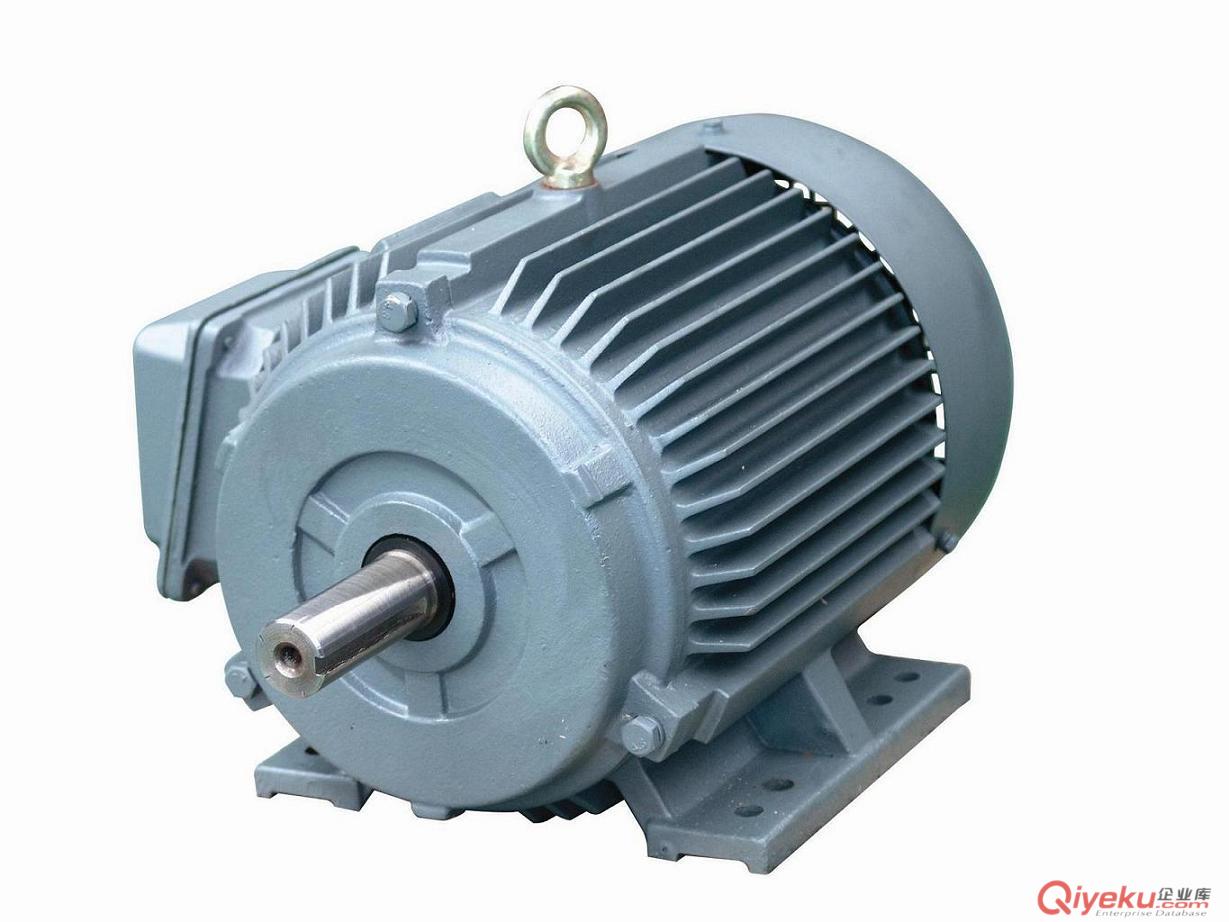 Y2系列電機(jī)
