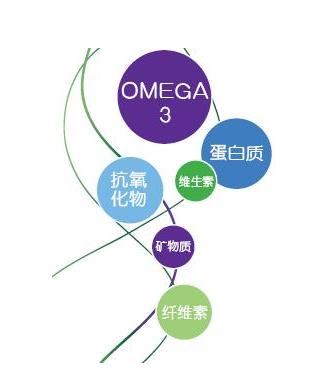 人體必需脂肪酸概述原始圖片2