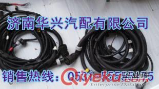 陜汽德龍M3000駕駛室線束原始圖片3