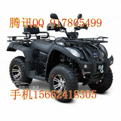 狮跑SP250-9攀登者越野型沙滩车