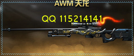 AWM 天龙