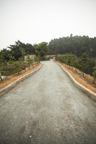 大夫山燒烤場