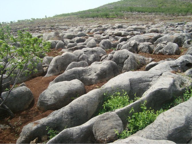 山東臨朐園林駁岸石銷售處@@