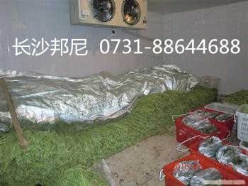小型冷庫要好多錢 建個冷庫有什么需求 那個品牌的冷庫好 長沙哪里有賣冷庫設備的