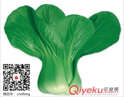 華英 蔬菜種子青梗菜小白菜上海青油菜陽臺(tái)盆栽種菜