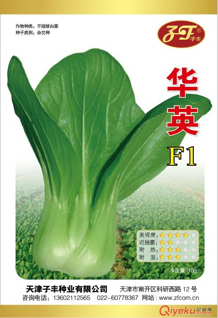 天津子豐種業(yè)有限公司青梗菜、蔬菜種子出售技術(shù)交流
