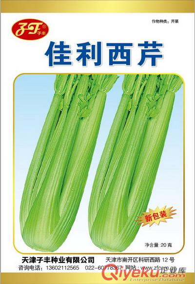 天津子豐種業有限公司青梗菜、蔬菜種子出售技術交流原始圖片3
