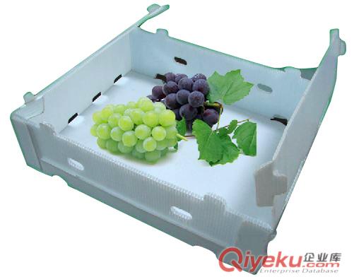 葡萄包裝箱、水果包裝箱、食品包裝箱、塑料包裝箱   