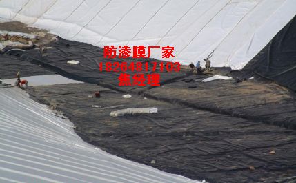 供應【濕地公園防滲膜】防滲膜多少錢一平方米