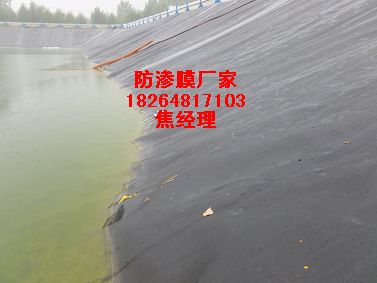供應南京蓄水池防滲膜規格|盤錦兩布一膜價格|施工