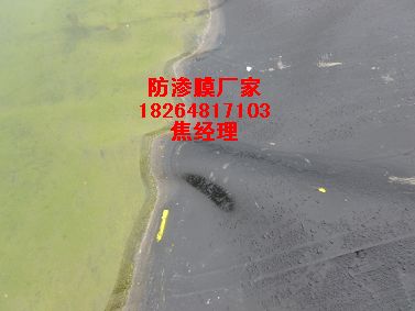 供應河南水庫防滲膜|河南蓄水池防滲膜|河南魚塘防滲膜