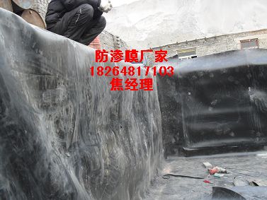 供應蘭州防滲膜￥嘉峪關防滲膜￥張掖專用防滲膜