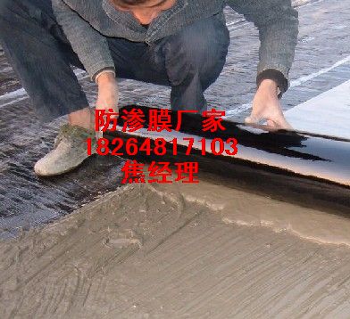 供應馬鞍山防滲膜|榆林防滲膜|咸陽魚塘防滲膜