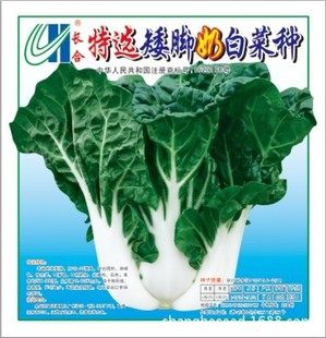 中腳奶白菜種