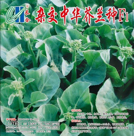 中花芥蘭種