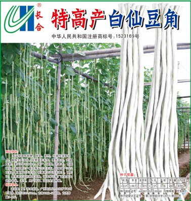 長合中度珠豆種