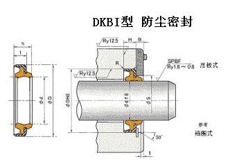 氟膠油封 氟橡膠骨架油封 