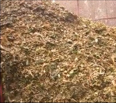出口小麥秸稈回收機(jī) 小麥秸稈收集使用說(shuō)明