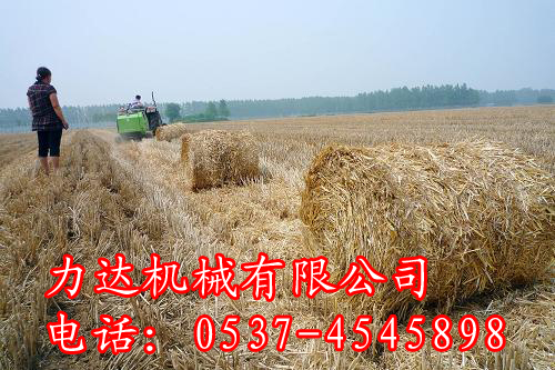 直銷自動撿拾打捆機(jī) 多功能牧草打捆機(jī)優(yōu)勢