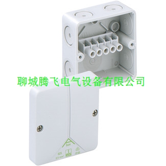 德國漢森HENSEL接線盒/DK系列分線盒