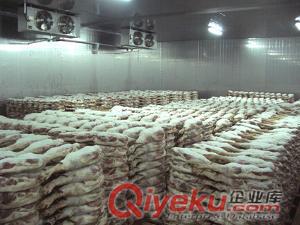 河南物流冷庫工程|周口中溫冷庫安裝|安陽速凍冷庫安裝原始圖片3