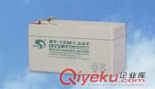【臺灣賽特】精密儀器充電蓄電池12V1.3AH/BT-12M1.3AT