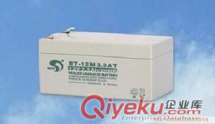 【臺灣賽特】精密儀器充電蓄電池12V1.3AH/BT-12M1.3AT