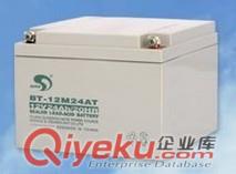 賽特蓄電池BT-12M24AT(12V 24AH/20HR)
