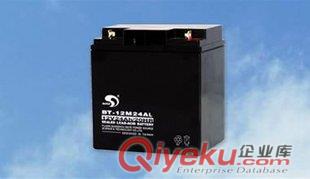 賽特電池后備電源BT-12M24AL(12V24Ah/20hr)